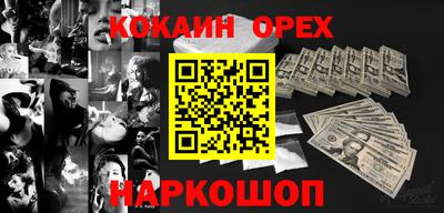 крисы Можга