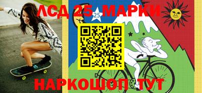 крисы Можга