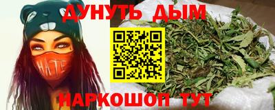 крисы Можга