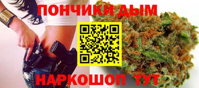 крисы Можга