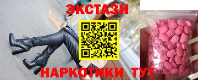 крисы Можга