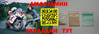 крисы Можга