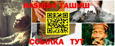 крисы Можга