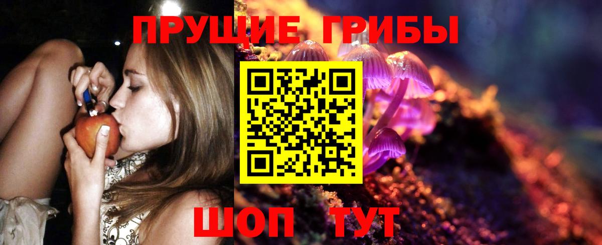 Чебоксары  Галлюциногенные грибы прущие грибы  Вход с VPN 