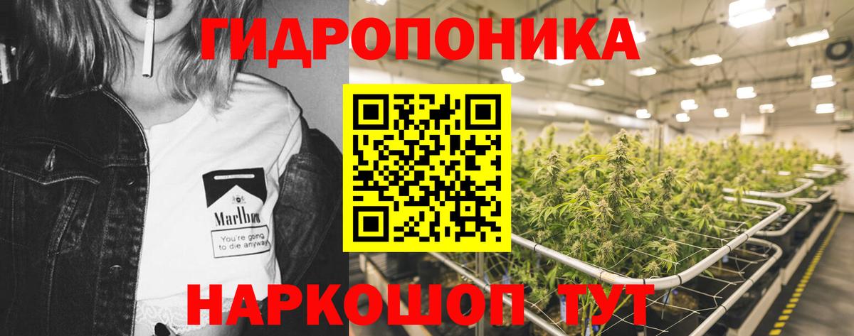 МАРИХУАНА план  Бошки Шишки OG Kush  Вход с VPN  Чебоксары 